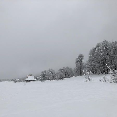 Cottage In Bakuriani Eksteriør bilde
