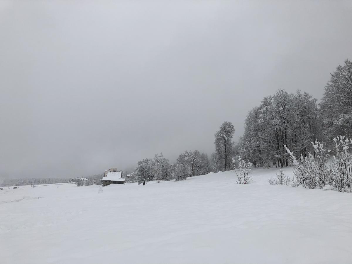 Cottage In Bakuriani Eksteriør bilde